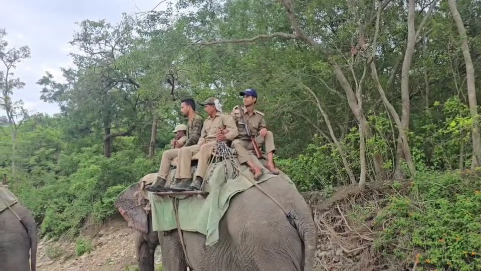 High security in Corbett Park