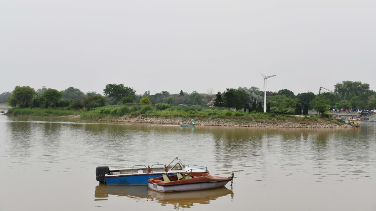 'Aur Kitna Sukhaoge Sukhna Lake Ko', CJI Says Iconic Chandigarh Lake On Verge Of Destruction