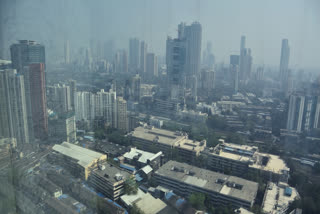 No AQI Equipment Bakeries Still Use Wood And Coal BMC Report In HC On Mumbai Air Paints Grim Picture