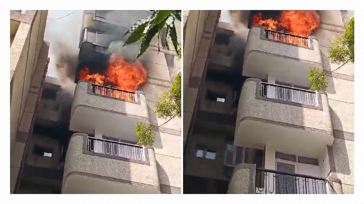 Delhi: 83-Year-Old Woman Dies, Granddaughter Severely Injured in Dwarka Apartment Fire Fire breaks out in Dwarka apartment