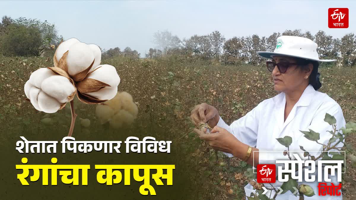 Etv BharMULTICOLOR COTTON RESEARCH  at