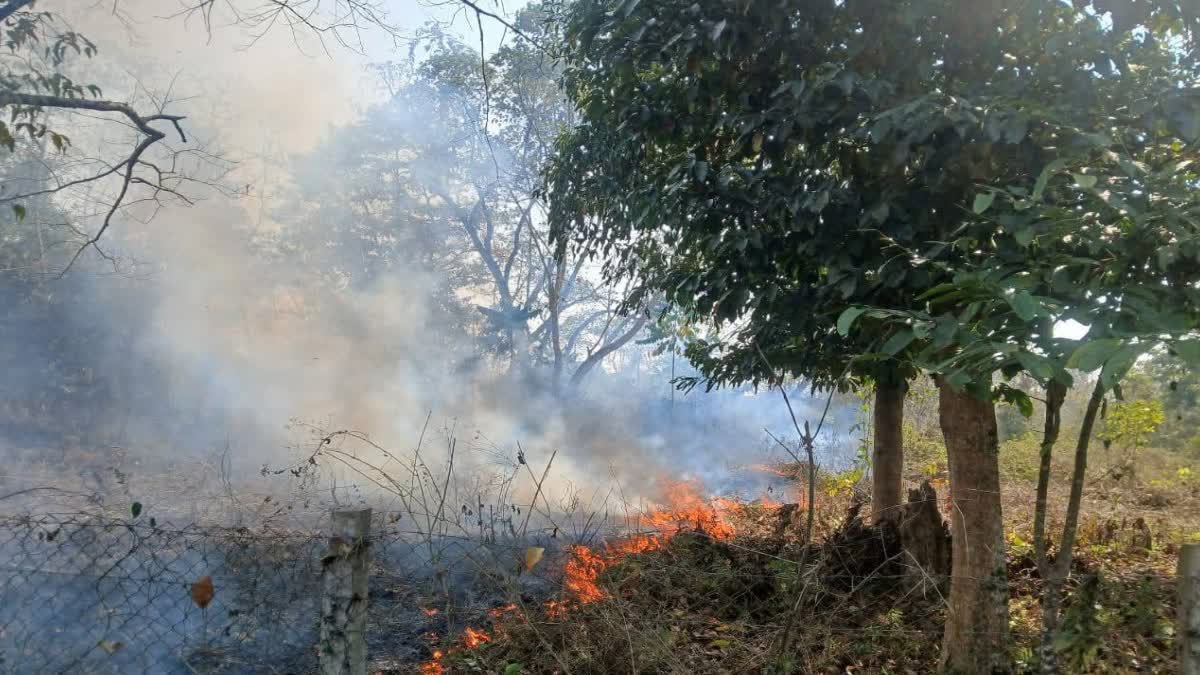 Nalani Reserved Forest