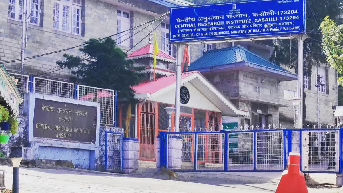 CRI संस्थान कसौली