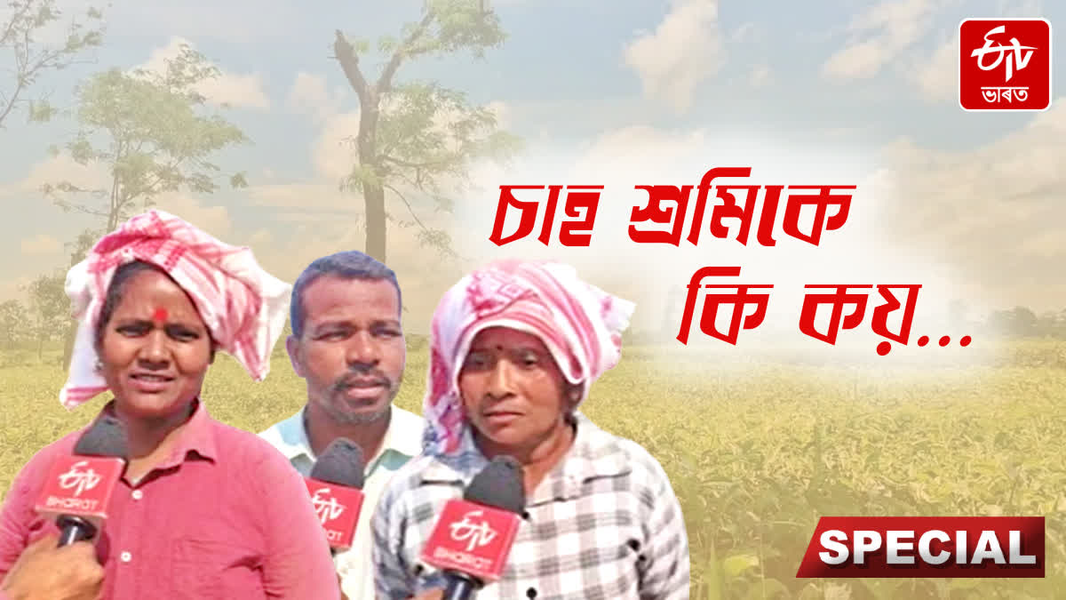 Tea workers under Assam Tea Corporation are satisfied with the work of the BJP government