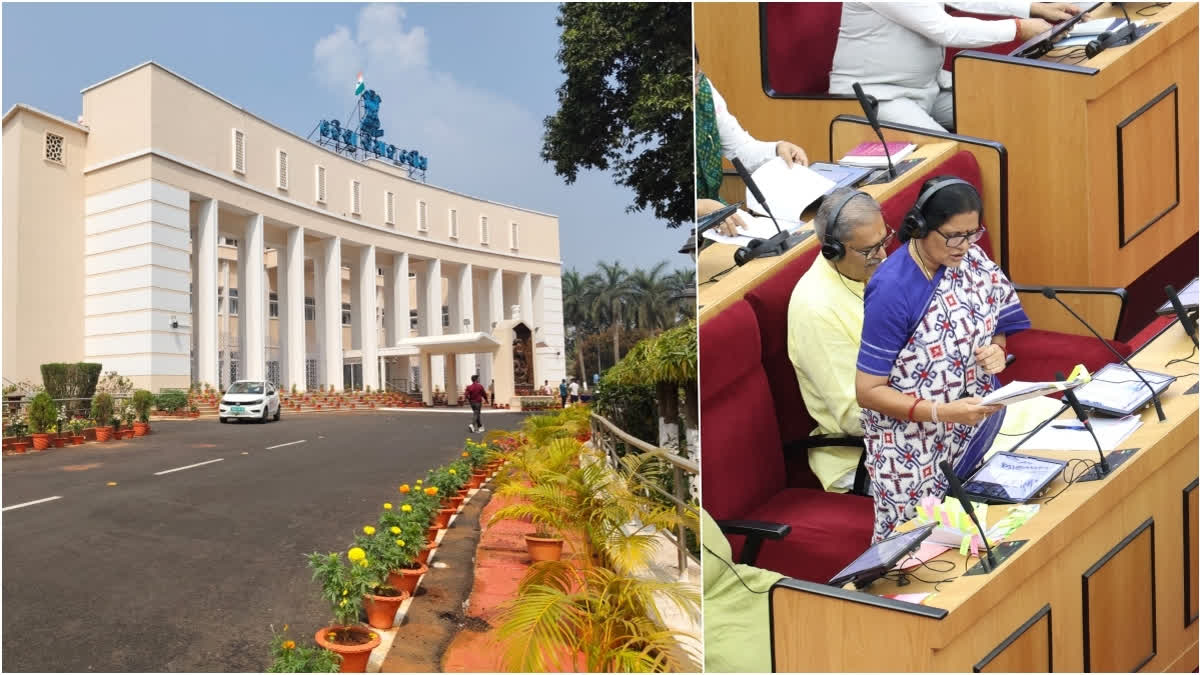 Lakhpati Didi in Odisha