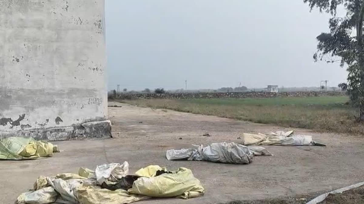 paddy stolen from warehouse