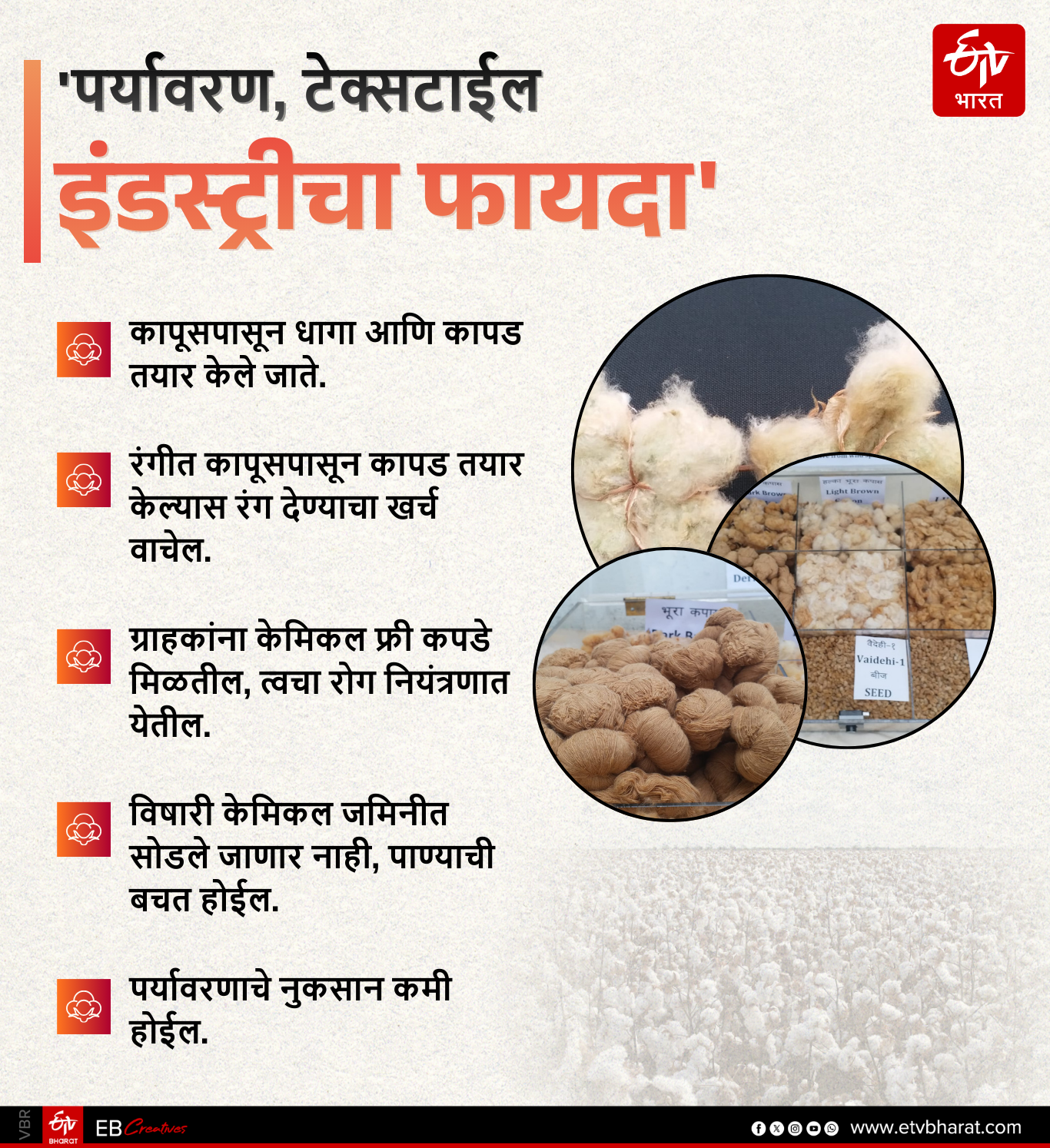 MULTICOLOR COTTON RESEARCH