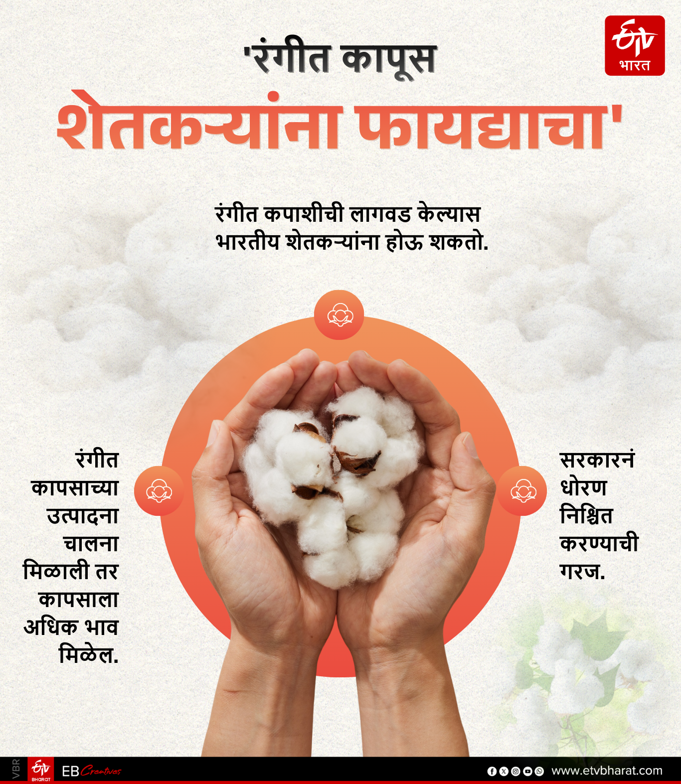 MULTICOLOR COTTON RESEARCH