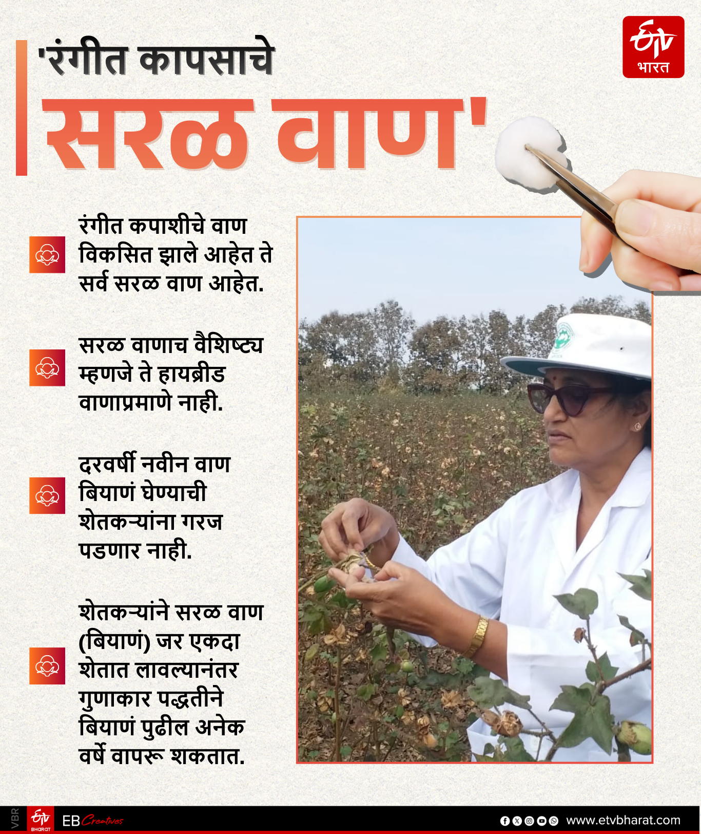 MULTICOLOR COTTON RESEARCH