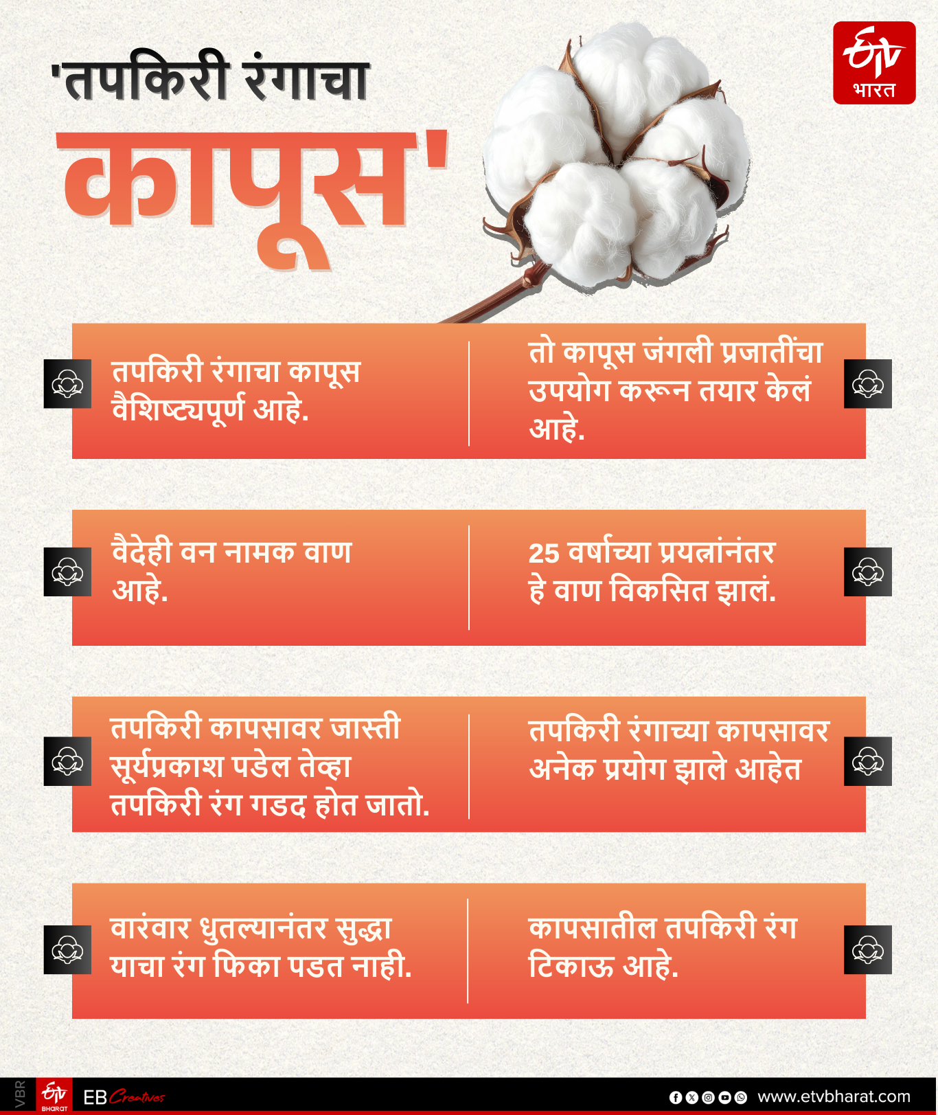 MULTICOLOR COTTON RESEARCH