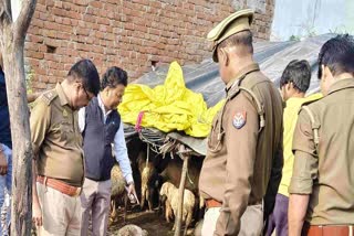 मौके पर जांच करते पुलिस के अधिकारी.