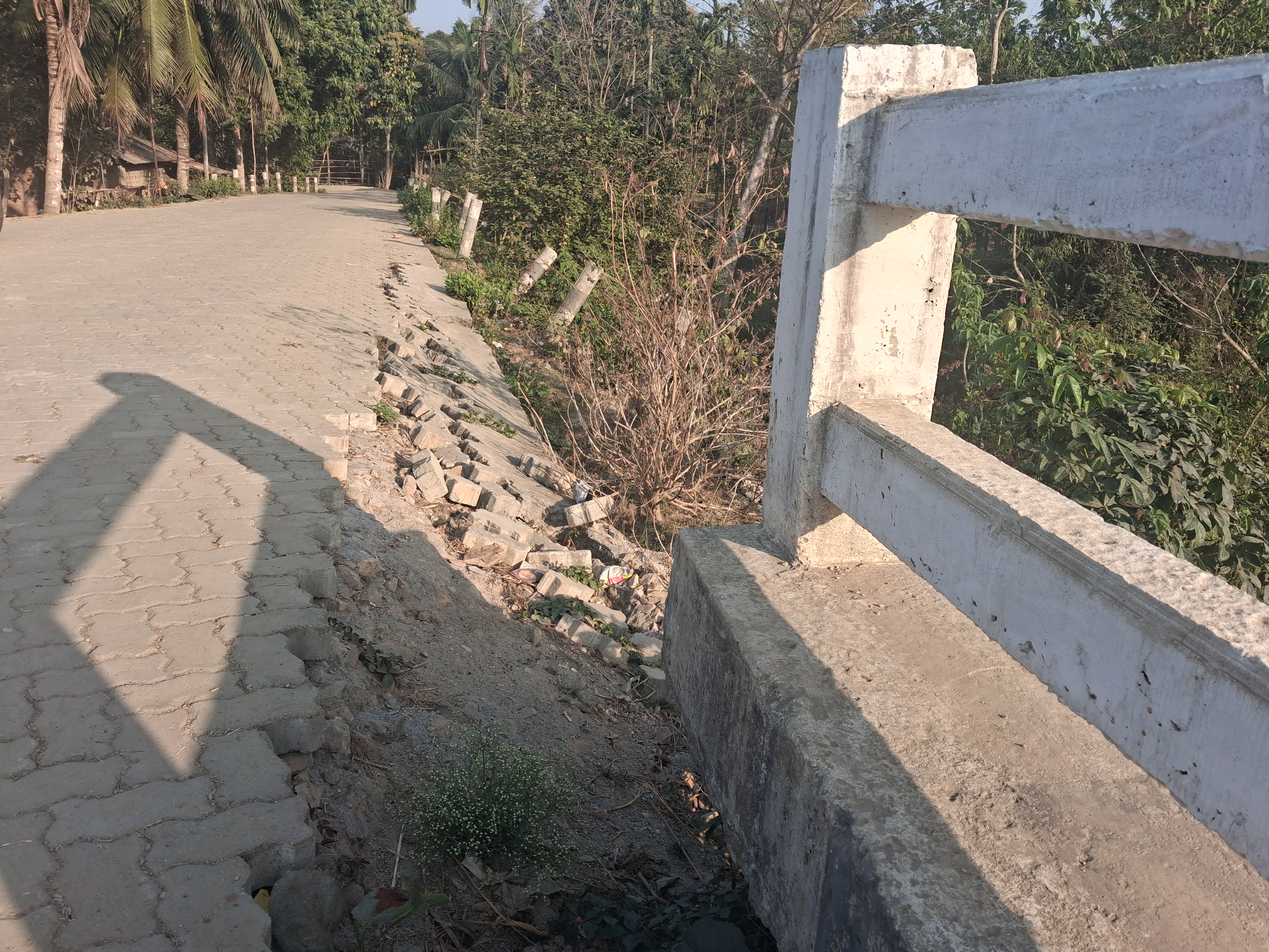 Nagaon Model village