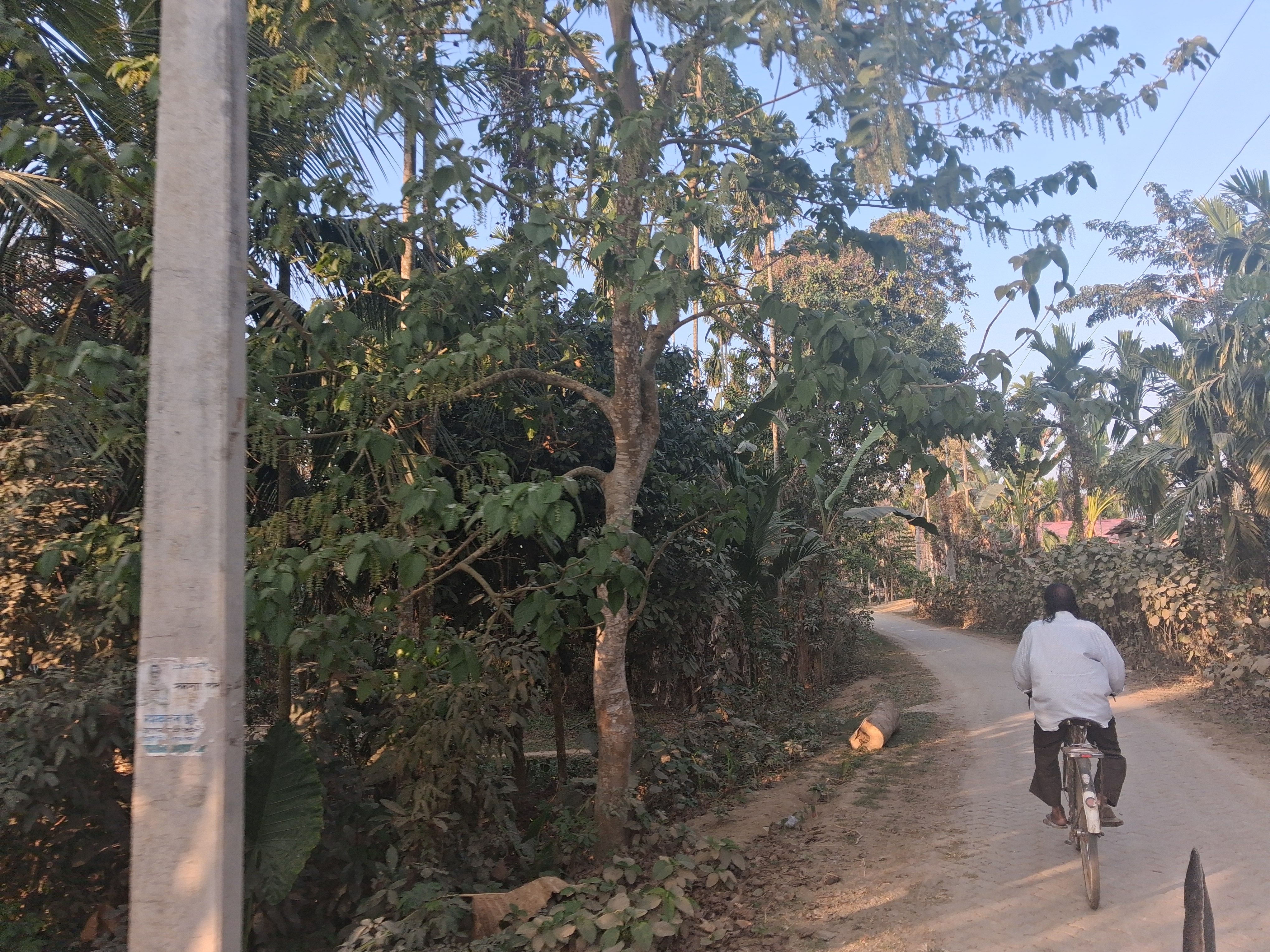 Nagaon Model village