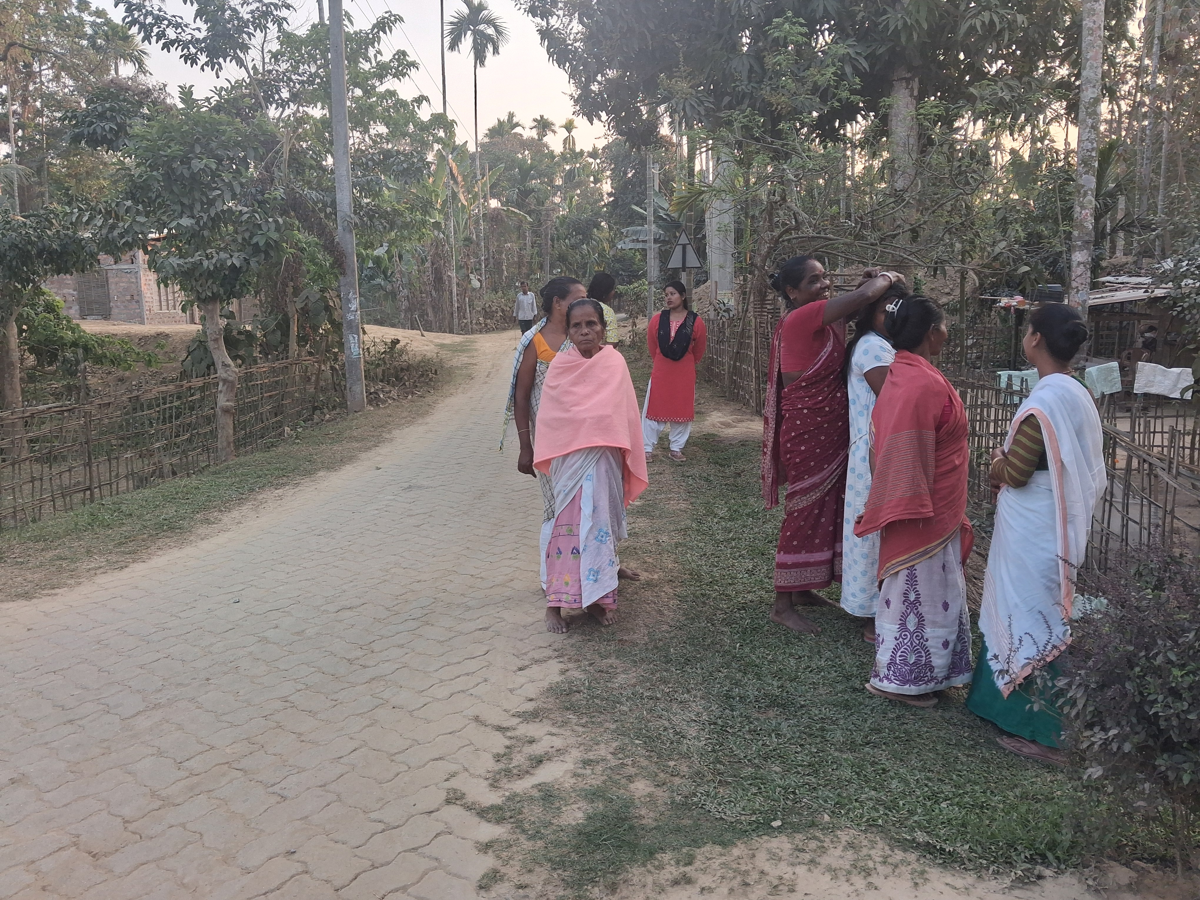 Nagaon Model village