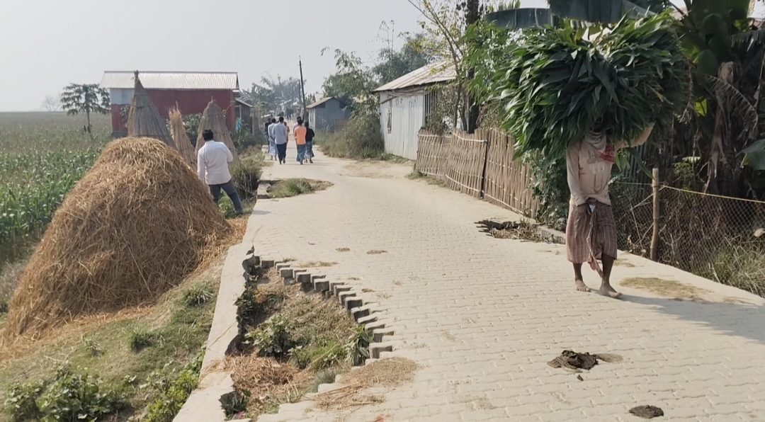 Baghbar Assembly Constituency