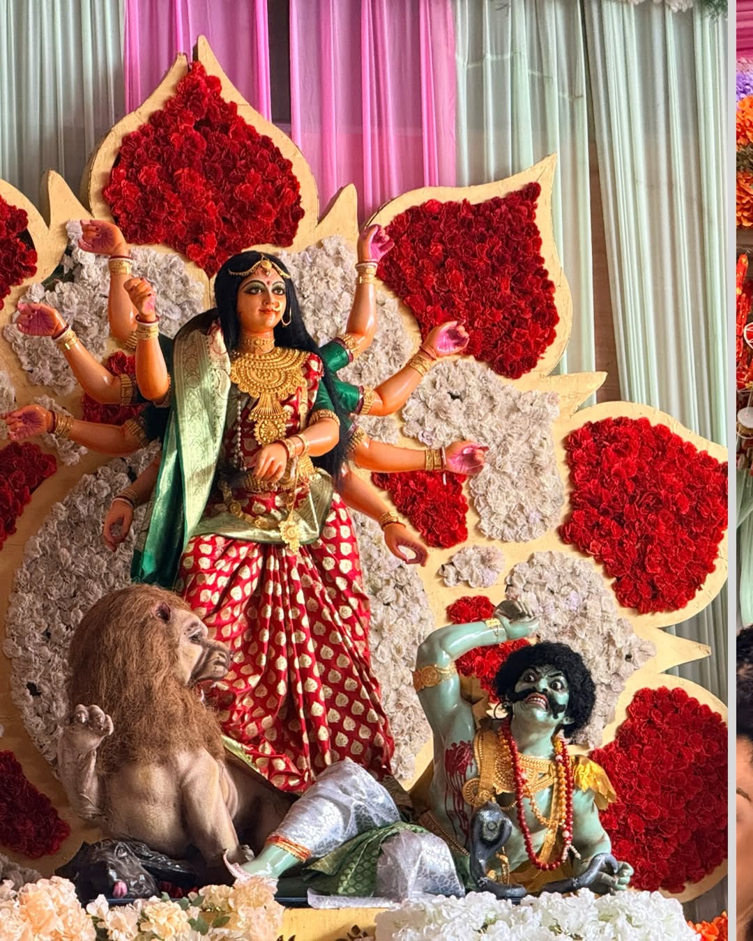 glimpses are captivating