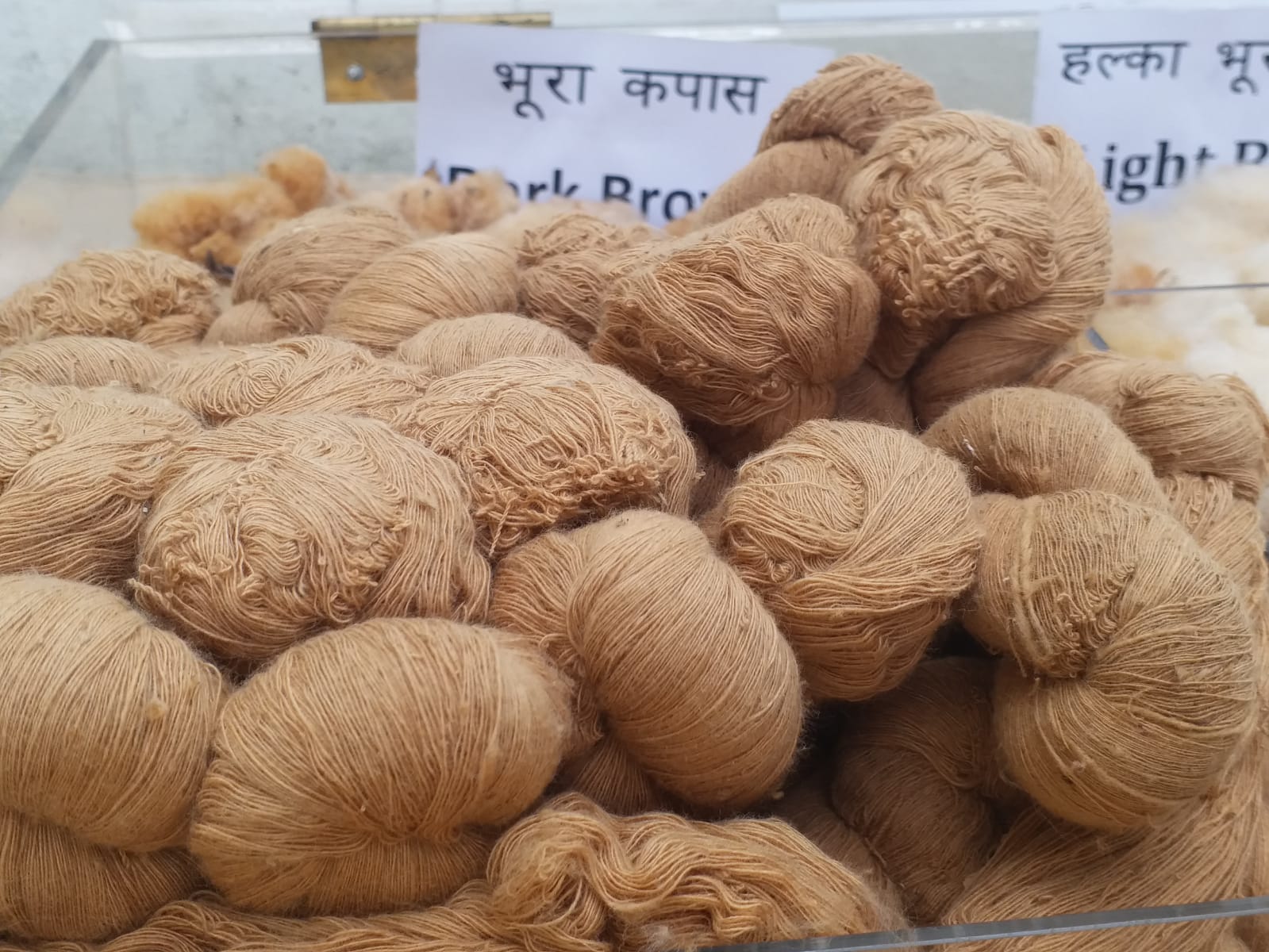 Multicolor Cotton Research