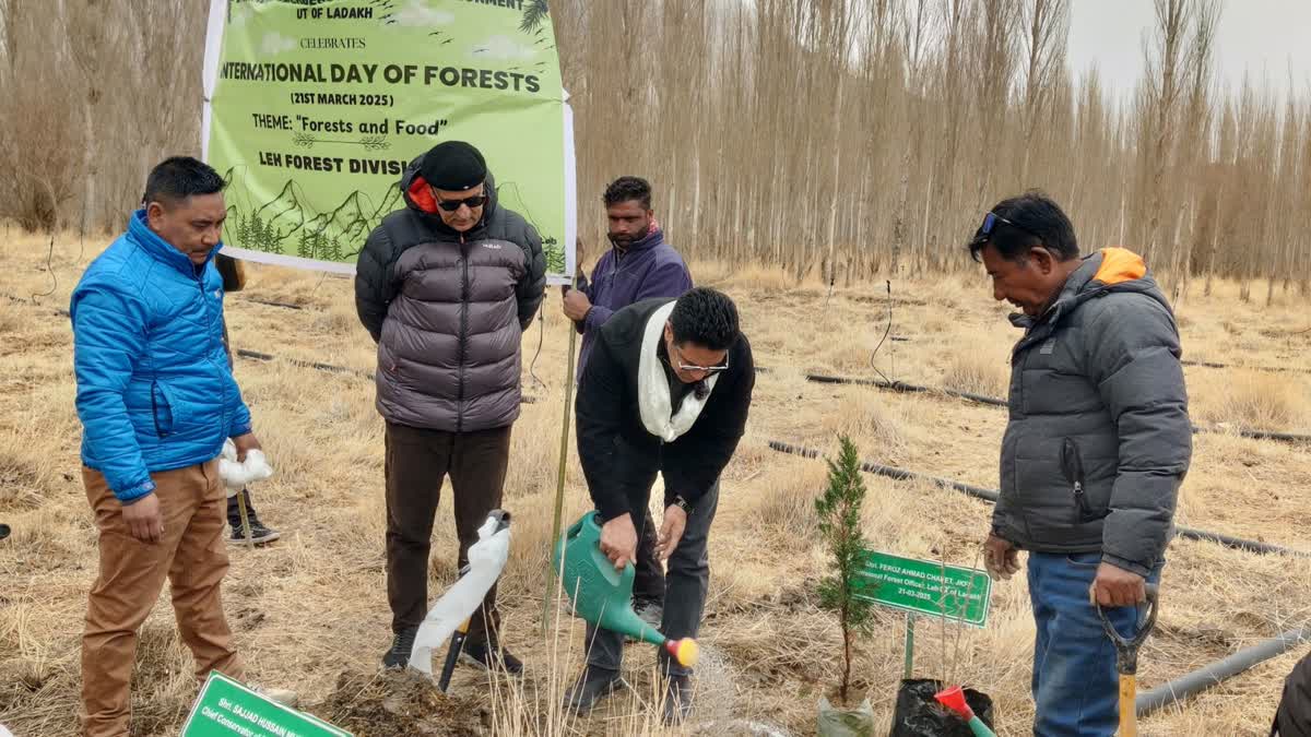 Leh Forest Division Celebrates Intl Day of Forests, Highlights ...
