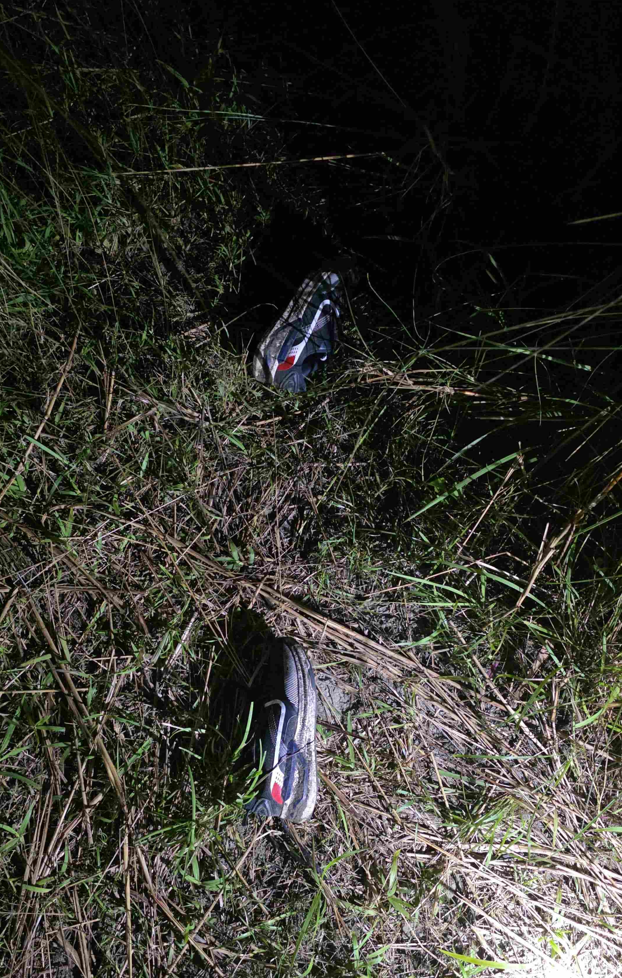 Operation against poaching
