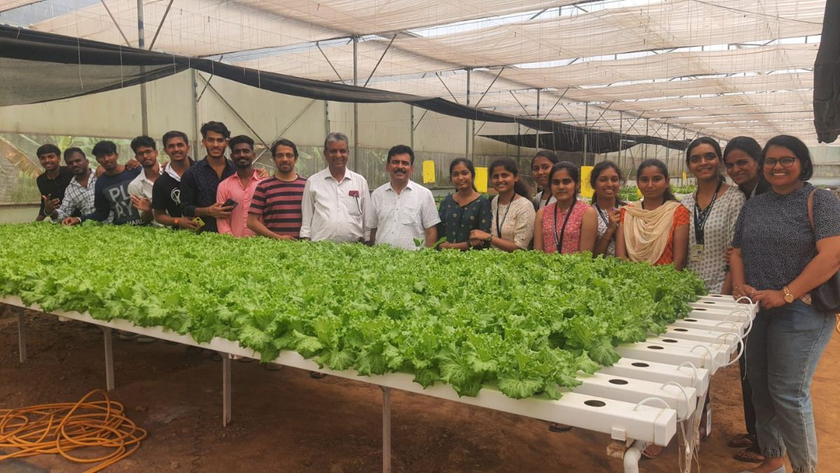 Farming Without Soil: AI And Hydroponics Driving Climate-Resilient, Pesticide-Free, Nutrient-Rich Crops