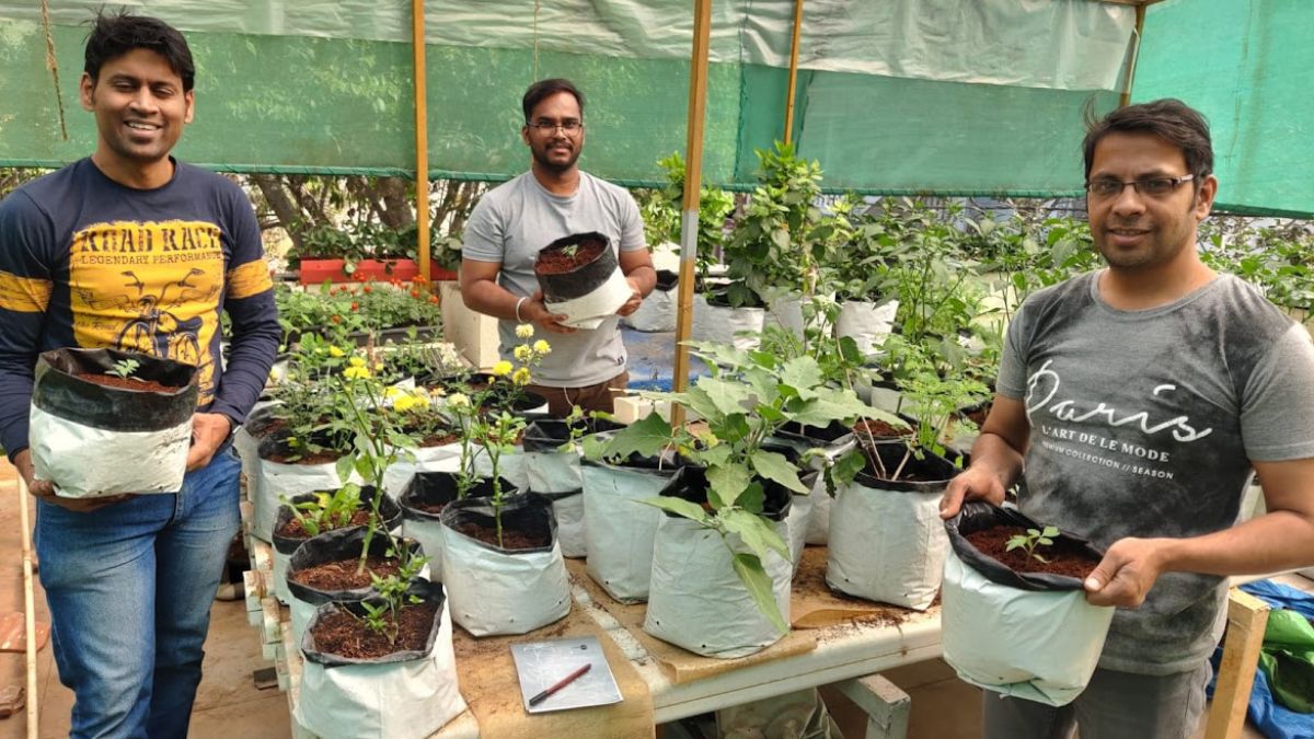 Farming Without Soil: AI And Hydroponics Driving Climate-Resilient, Pesticide-Free, Nutrient-Rich Crops