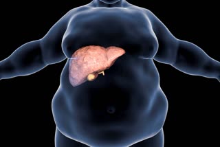 Health Tips