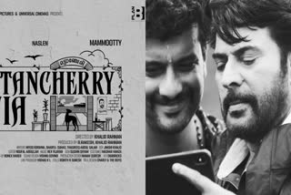 മമ്മൂട്ടി  രമേഷ് പിഷാരടി സ്ഥാനാര്‍ഥി  മമ്മൂട്ടി പിഷാരടി സൗഹൃദം  കേരള നിയമസഭാ തെരഞ്ഞെടുപ്പ് 2026