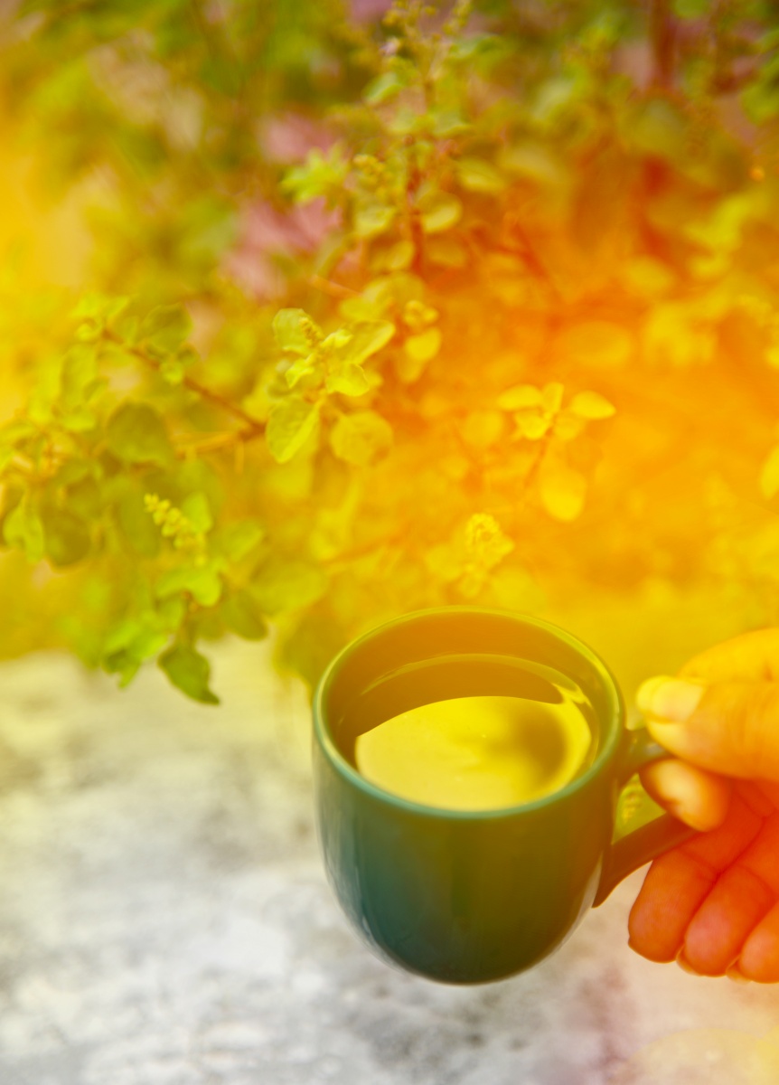 Tea cup in the morning