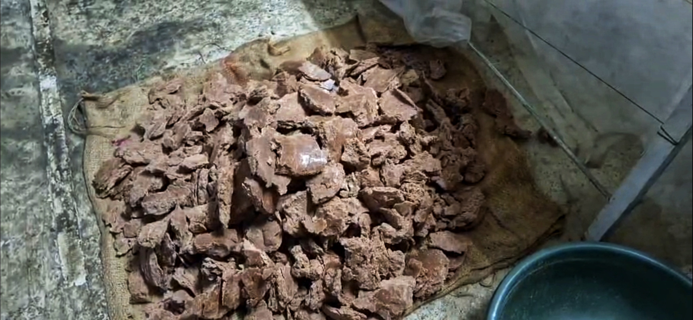 Wood Pressed Wonder: An Amravati Teacher's Experiment With Nutritious Oil Wins Healthy Hearts