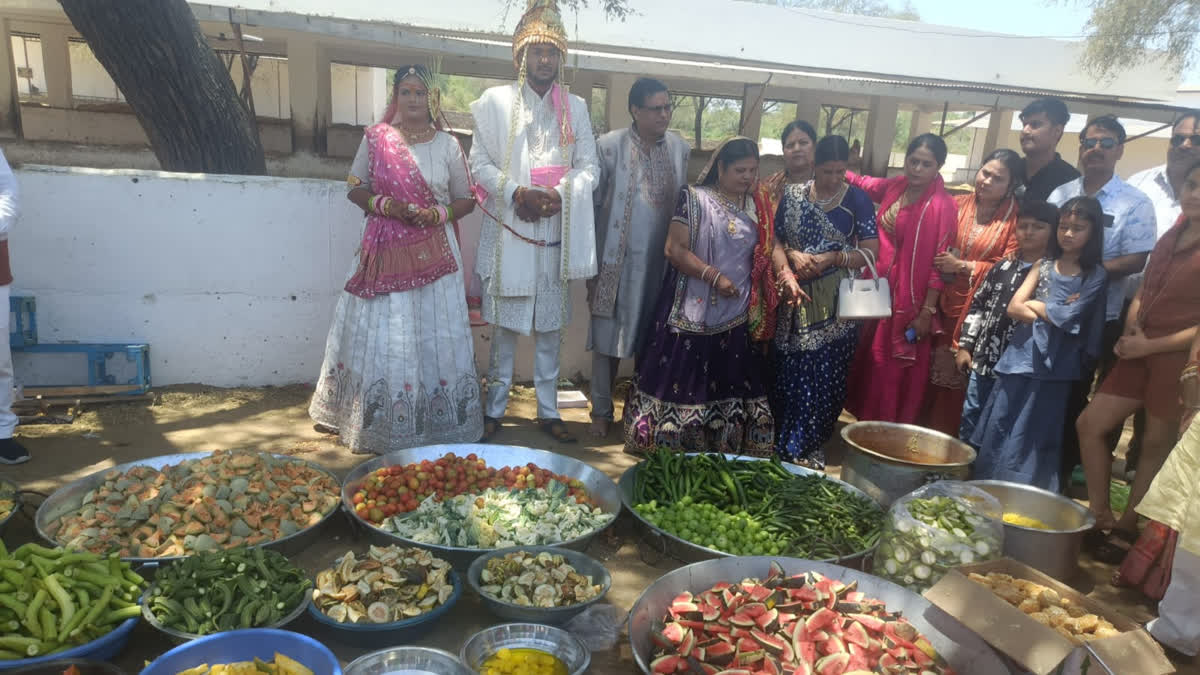 Setting An Example, Ayushi & Nikhil From Rajasthan Host Wedding In Gaushala, Offer 'Chhappan Bhog' To Cows Setting An Example, Rajasthan Family Hosts Wedding In Gaushala; Follows Unique Rituals