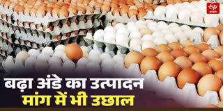 अंडे का उत्पादन बढ़ा