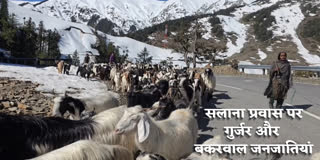 सलाना प्रवास पर गुर्जर और बकरवाल जनजातियां