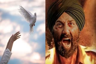 Awarapan 2 Lahore 1947