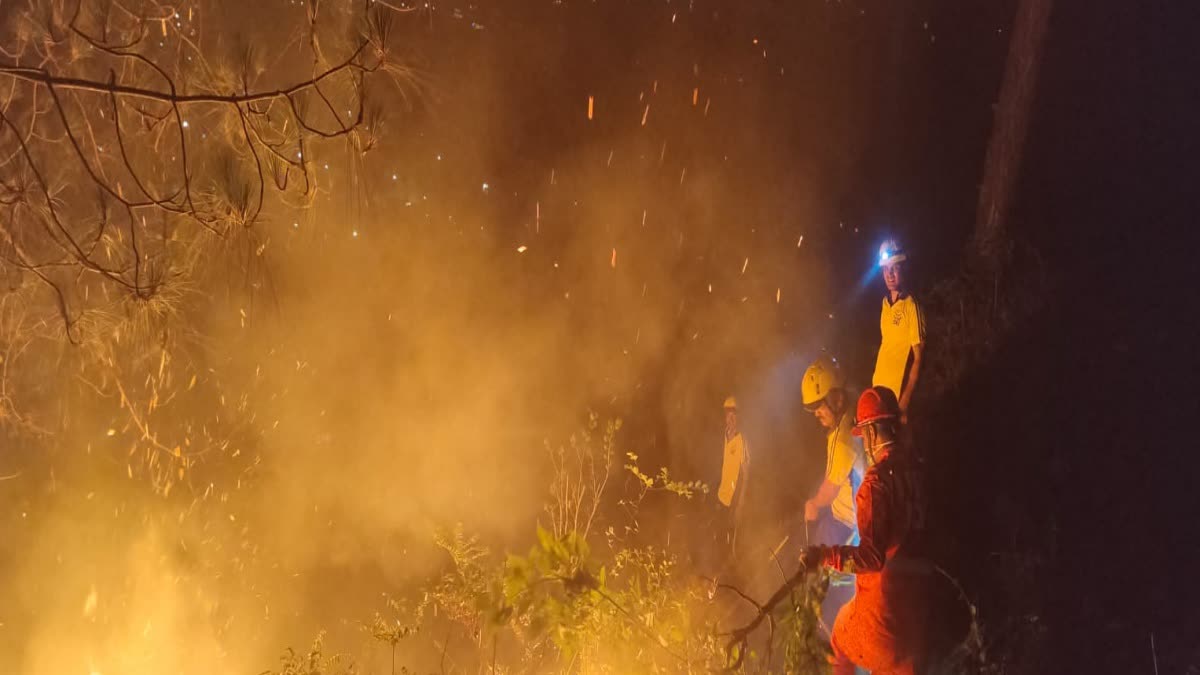 Uttarkashi forest fire incident