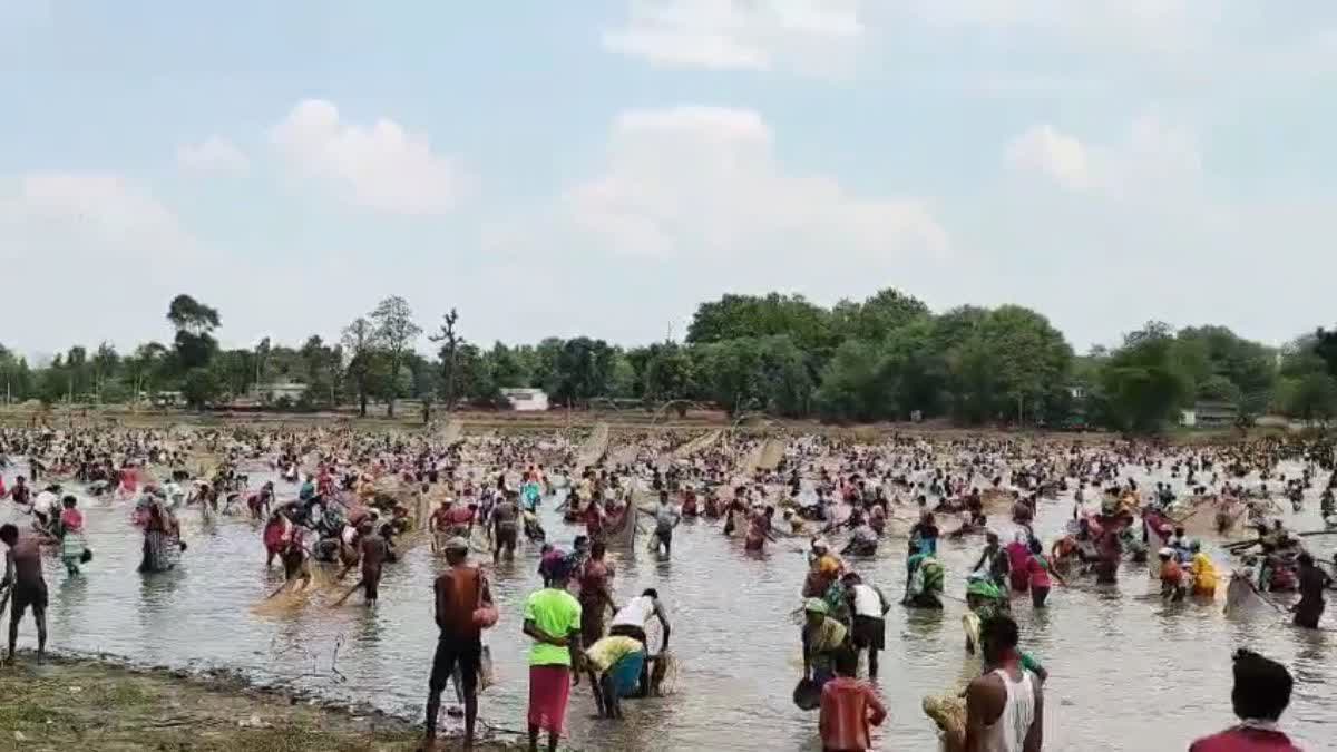 Bandha Mataur Pond Festival