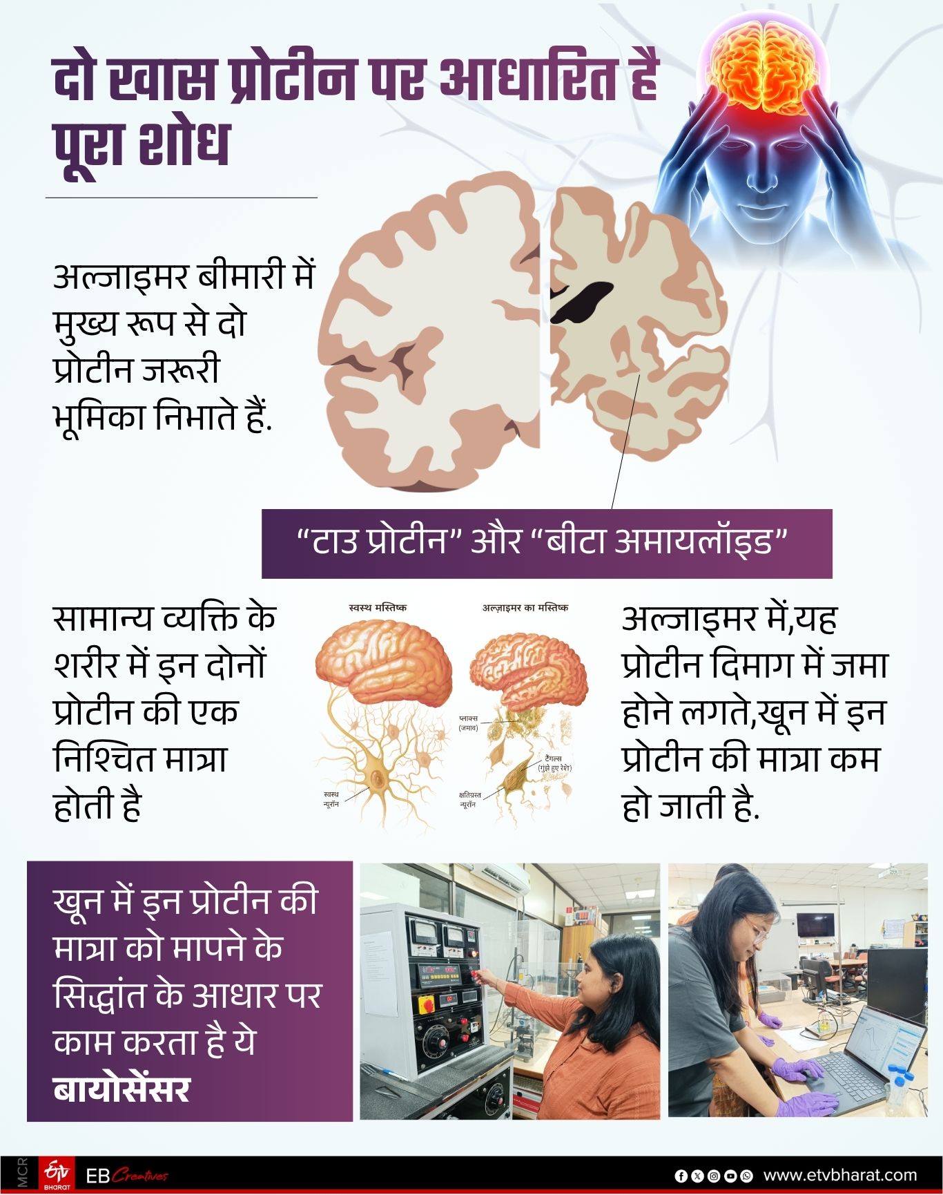 दो खास प्रोटीन पर आधारित है पूरा शोध