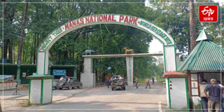 Manas National Park is filled with domestic and foreign tourists