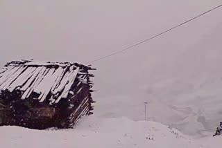 Fresh Snowfall Blankets Gurez Valley In J&K; Mercury Drops Across Kashmir