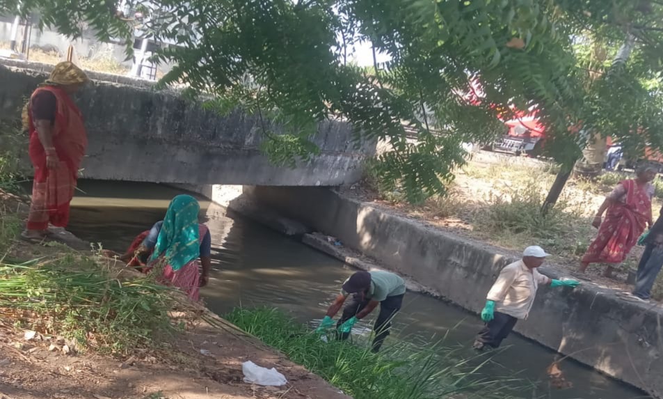 13 વોર્ડમાં 13 એજન્સીઓને કામગીરી સોંપાઈ
