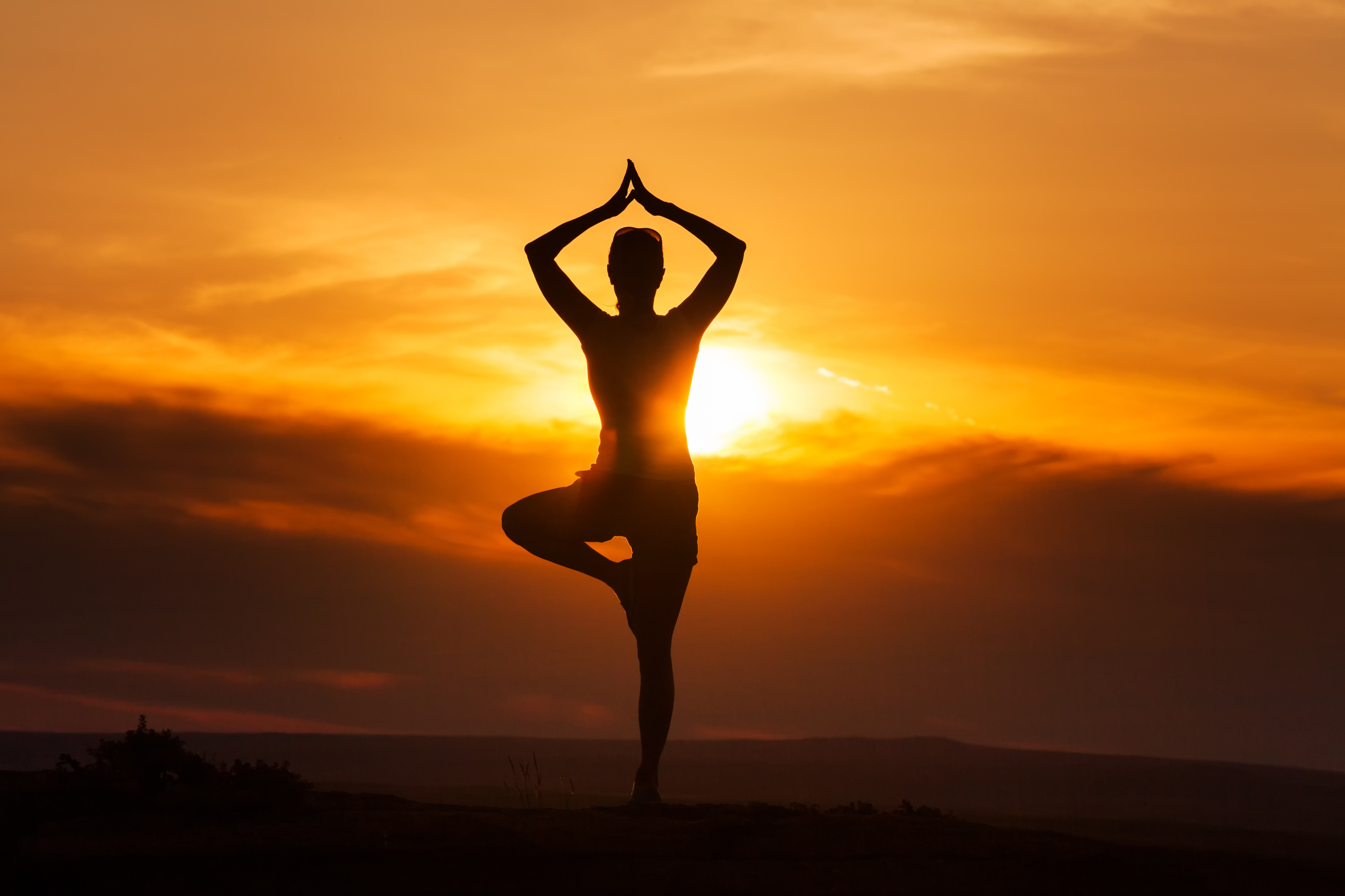 YOGA DAY 2025