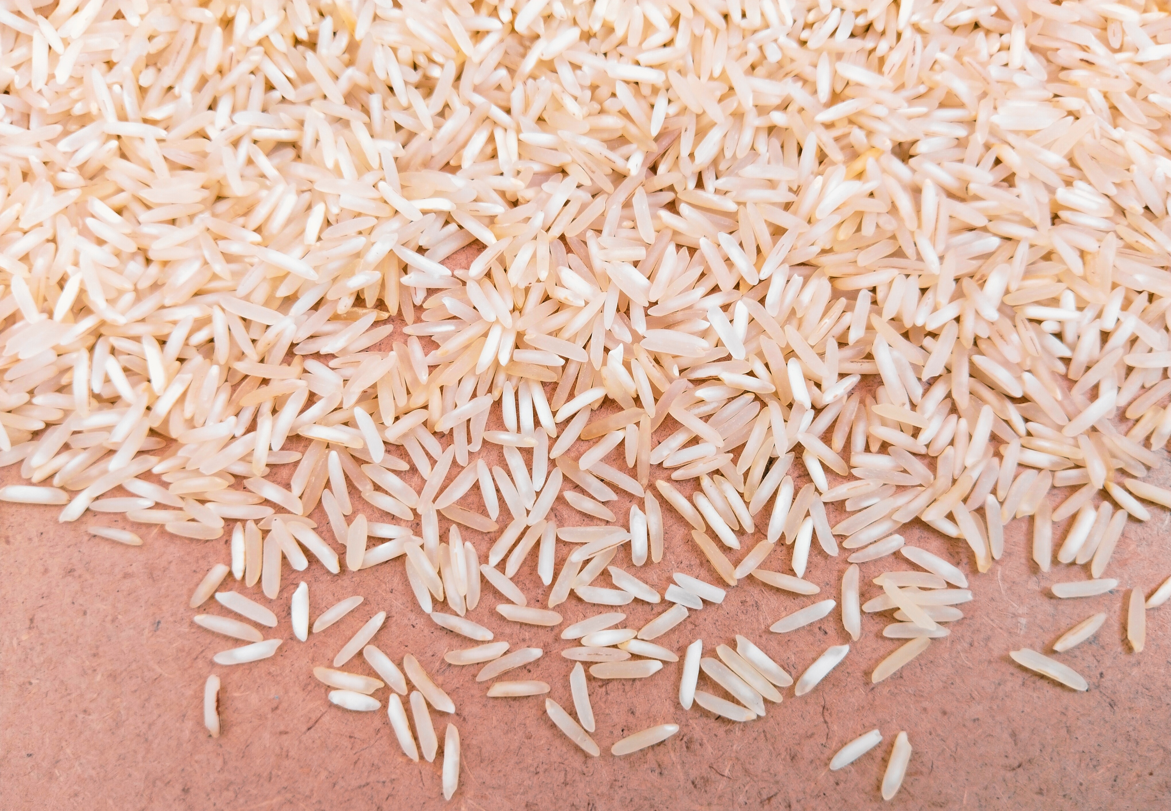 Rice