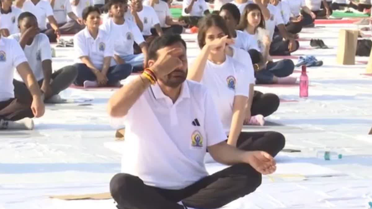 International Yoga Day