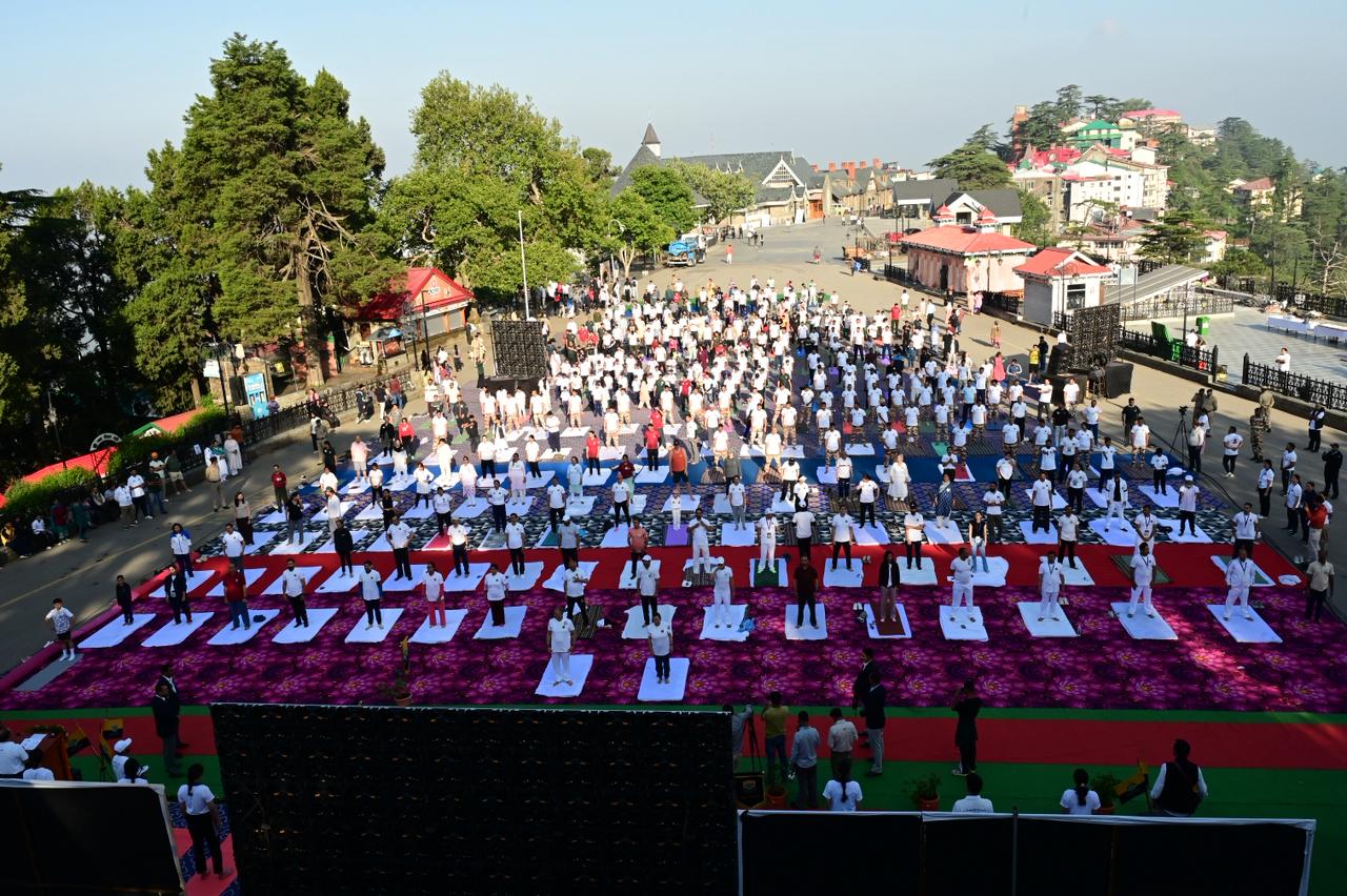 International Yoga Day celebration in Shimla