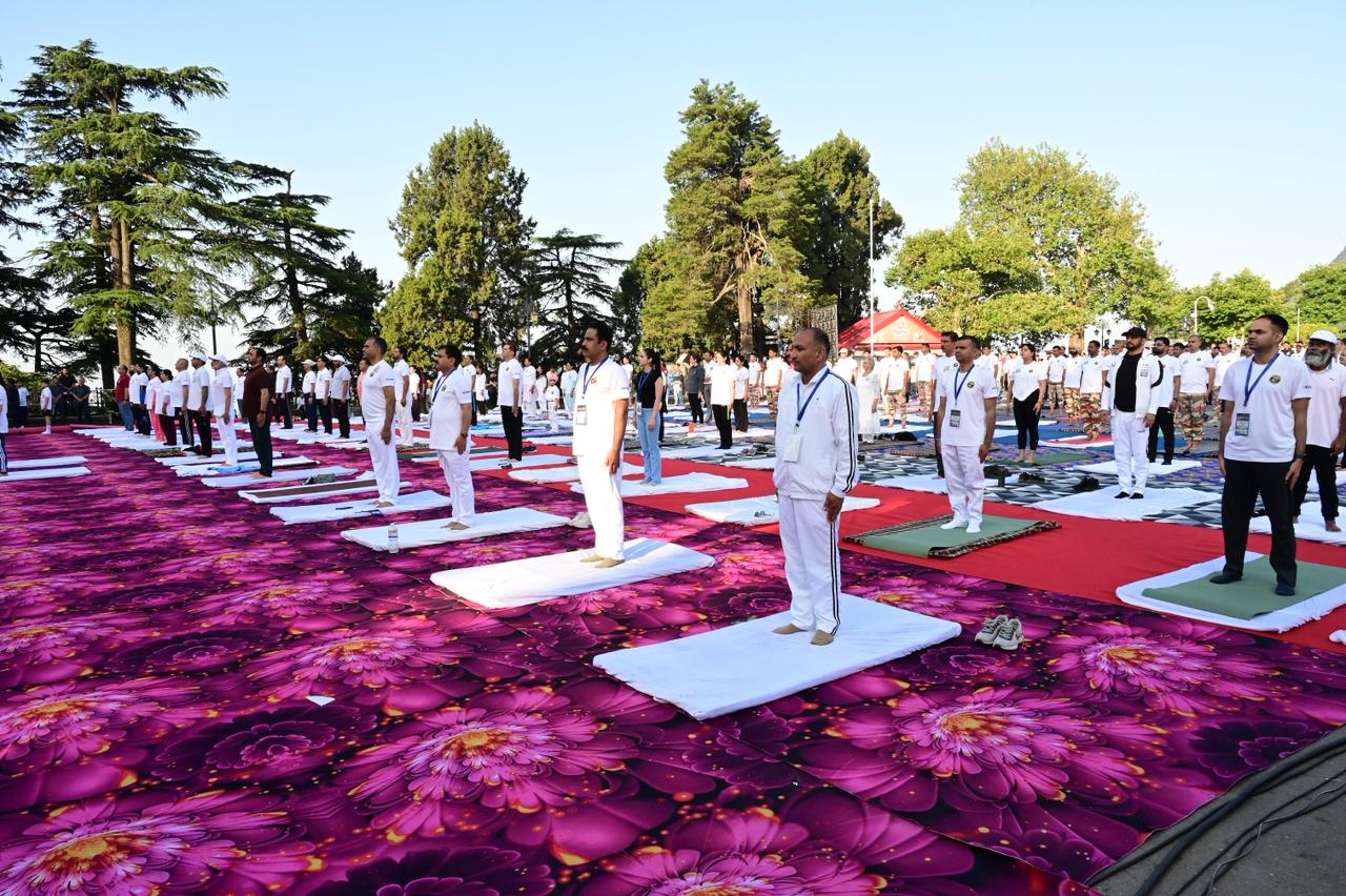 International Yoga Day celebration in Shimla