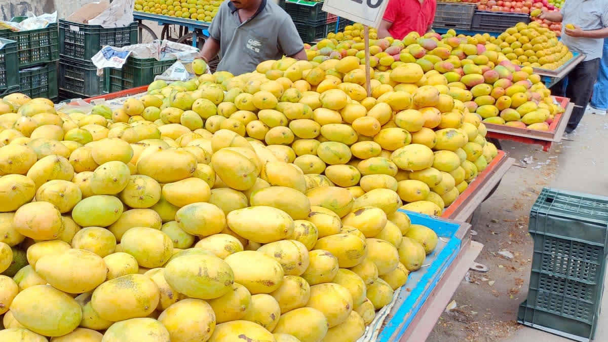 Gujarat boosts mango exports with 865 metric tonnes in 2024-25, aided by irradiation facilities and USDA certification.
