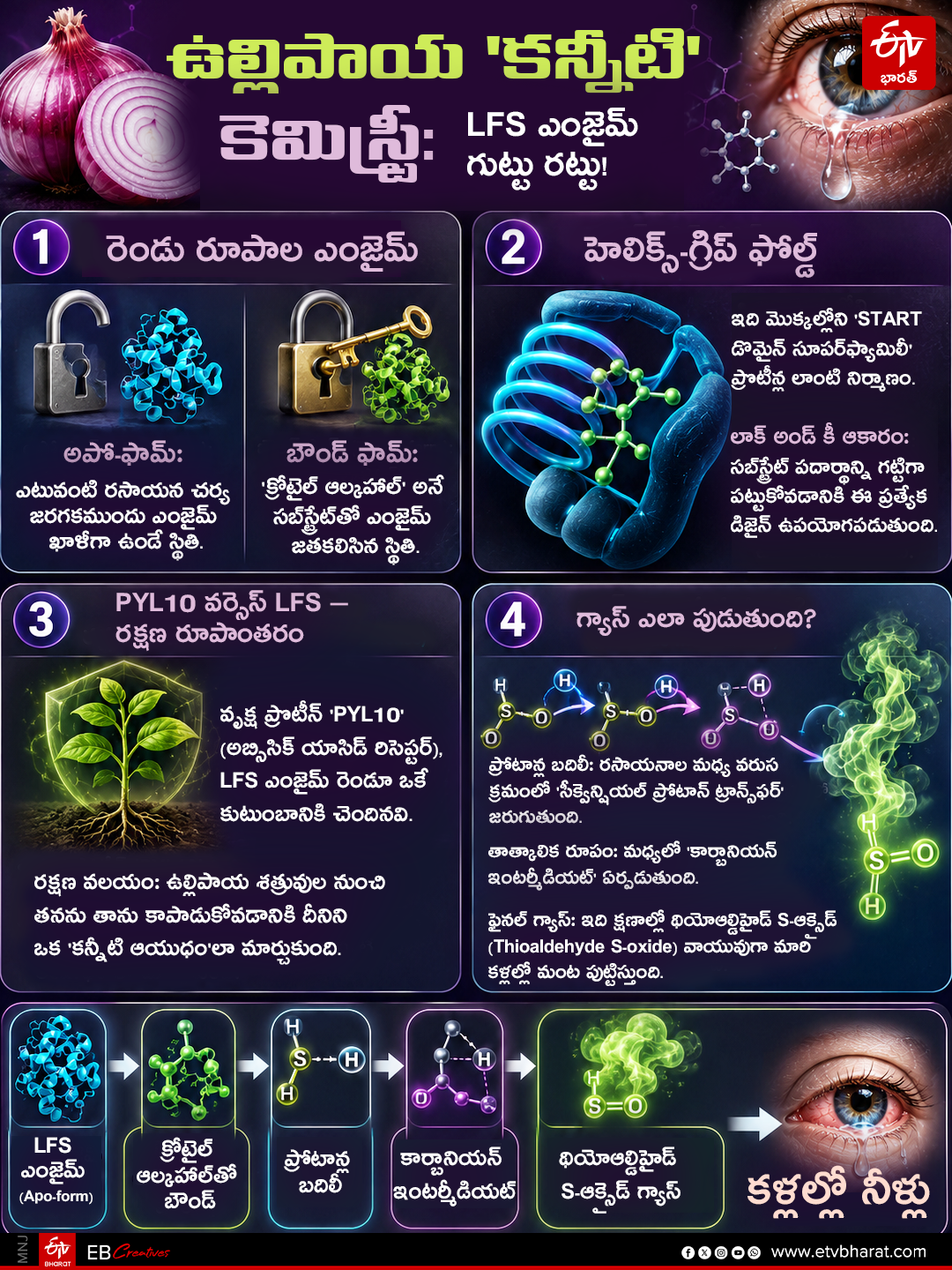 Science Behind Why Onions makes Us Cry?