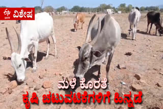 AGRICULTURAL ACTIVITIES HAVE SLOWED DOWN DUE TO LACK OF MONSOON RAINS IN MYSURU