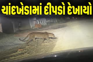 ચાંદખેડામાં દીપડો દેખાયો