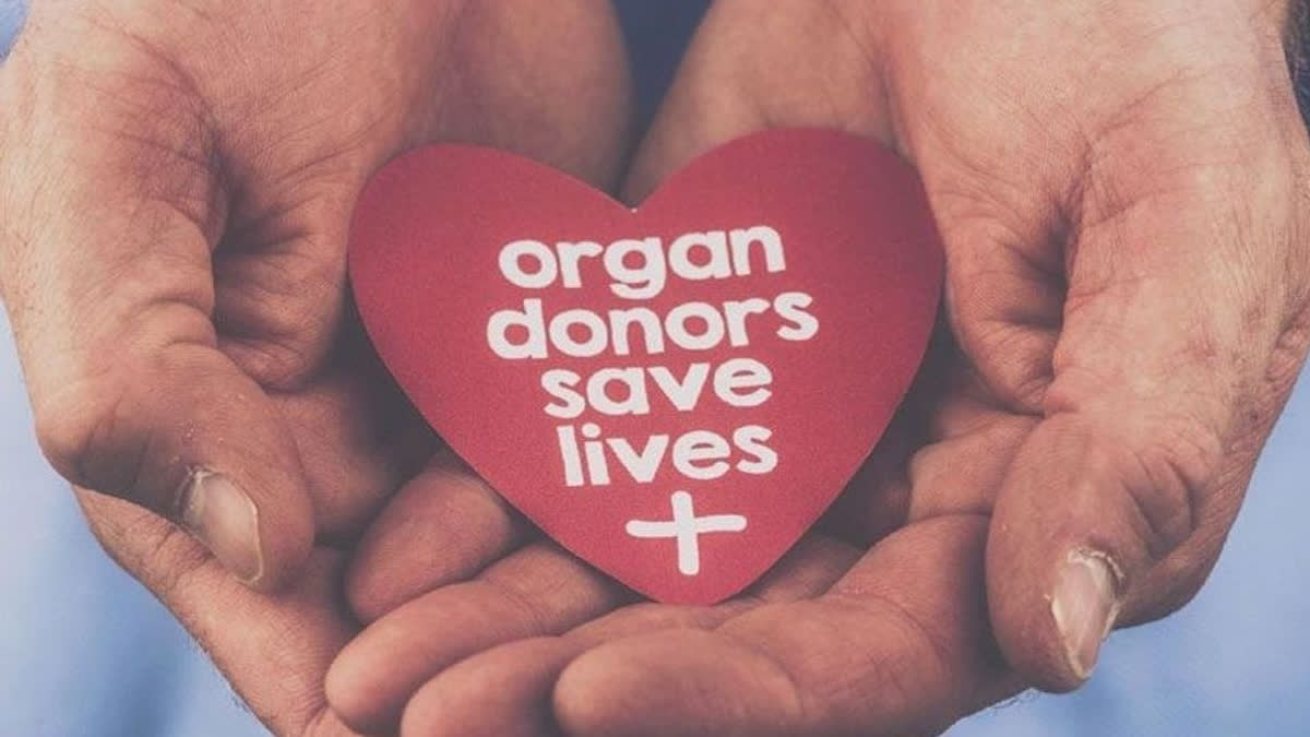 Common Misconceptions About Organ Donation In India And Differences Between Live and Deceased Organ Donation Common Misconceptions About Organ Donation In India (Representational Image)