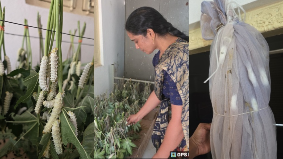 Eri The Poor Man Silk Is Emerging As A Potent Sector For Strengthening Livelihood In Telangana